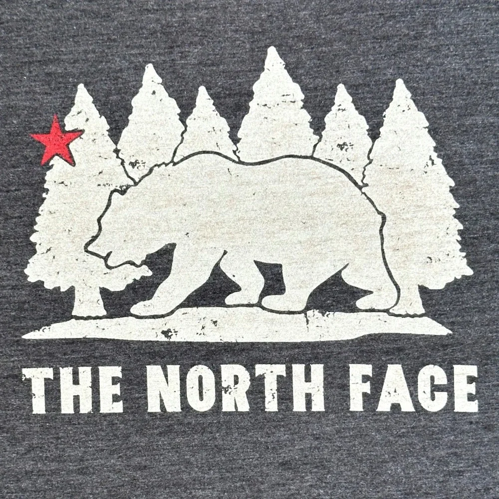 The North Face Cali Bear Tee Mens Large Gray Tri Blend Graphic Shirt Gorpcore
